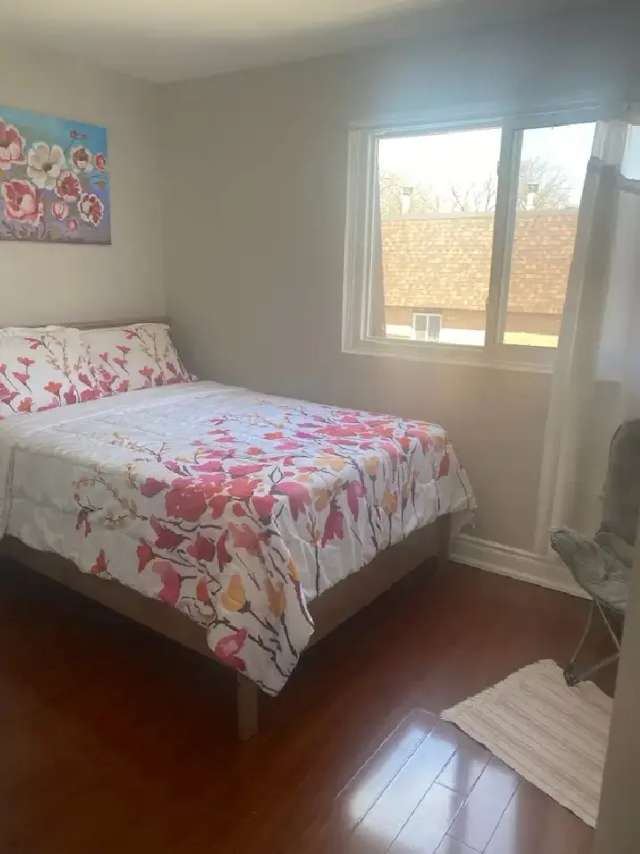 Room for Rent near UTSC Centennial College