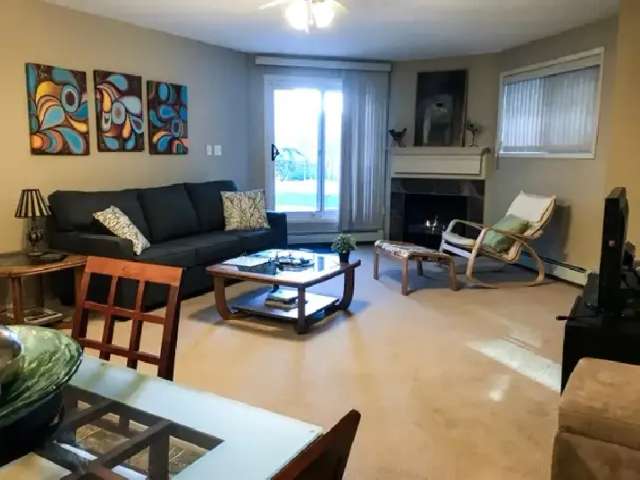 Fully Furnished Downtown Condo!