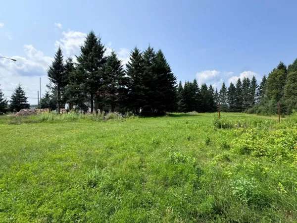 Commercial building and land for sale (Laurentides) #QU377