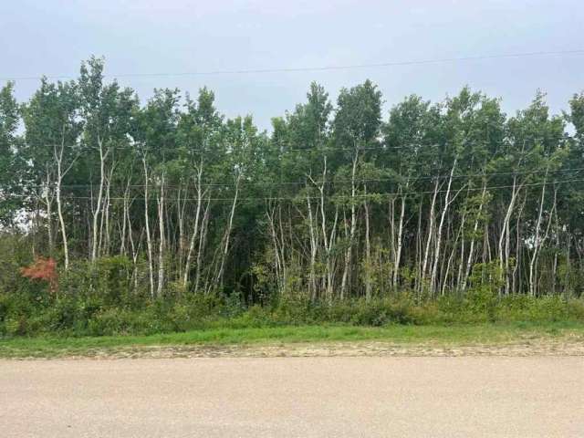 Land For Sale in Assiniboia, Saskatchewan