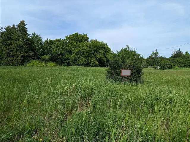 Land For Sale in Trent Hills, Ontario