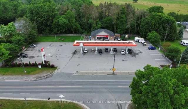 Commercial For Sale in Georgina, Ontario