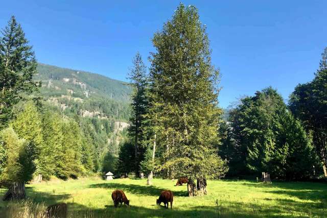 A $2,780,000.00 House with Acreage with 2 bedrooms in Paradise Valley, Squamish