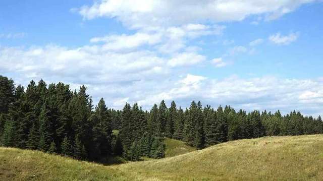 Land For Sale in Calgary, Alberta