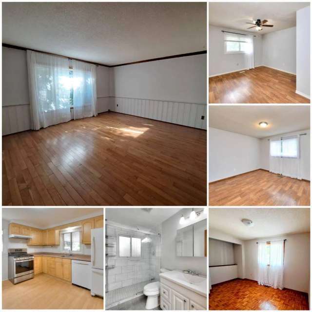 House For Rent in Cambridge, Ontario