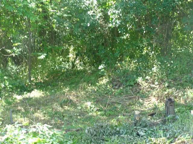 Land For Sale in Trent Hills, Ontario