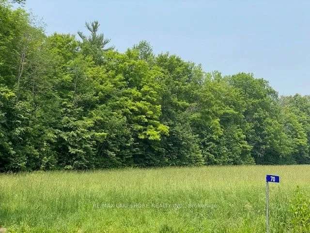 Land For Sale in Trent Hills, Ontario