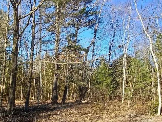 Land For Sale in Trent Hills, Ontario