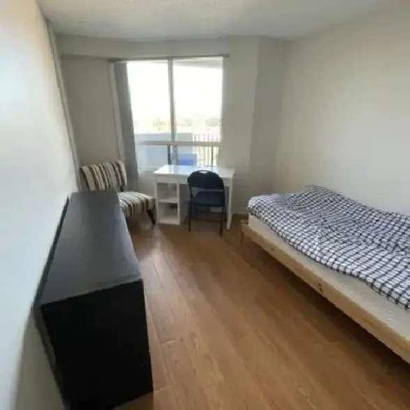 room for rent near Algonquin college