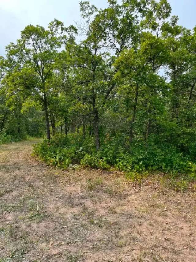 For Sale Vacant Lot At 129 Sunset Bay Grand Marais MB