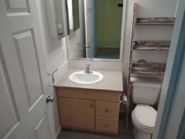 Large room and own bathroom for rent