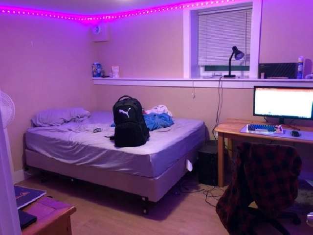 Room for rent near Dalhousie - Summer Sublet