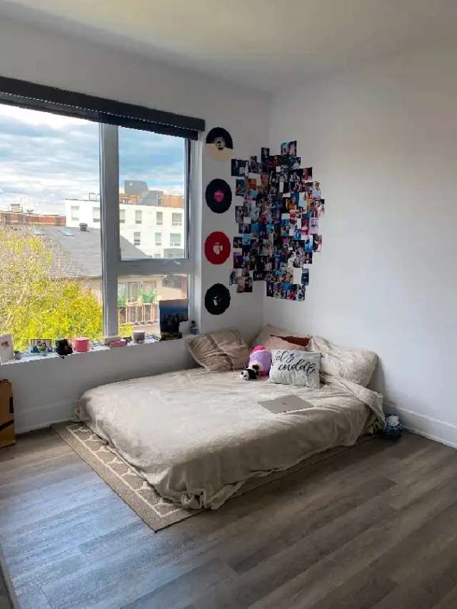 GIRLS ONLY, spacious room for rent Downtown Ottawa, ASAP Move-in