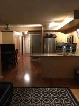 Male Roommate wanted for shared apartment near TMU.