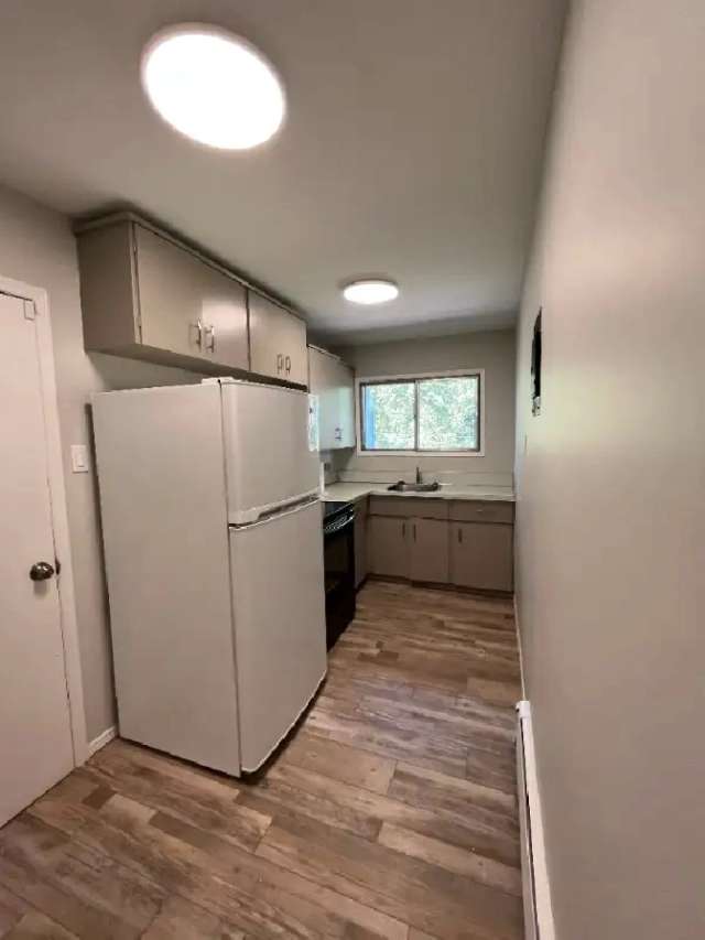 Spacious Newly Renovated 2 Bedroom Unit Near Downtown
