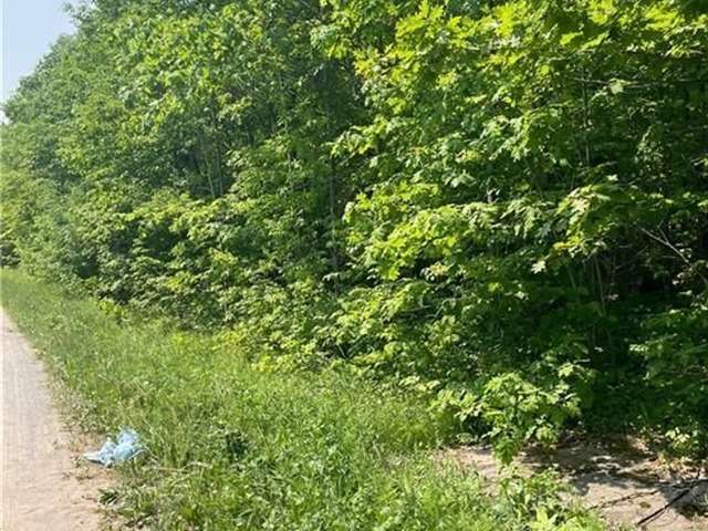 Land For Sale in Severn, Ontario