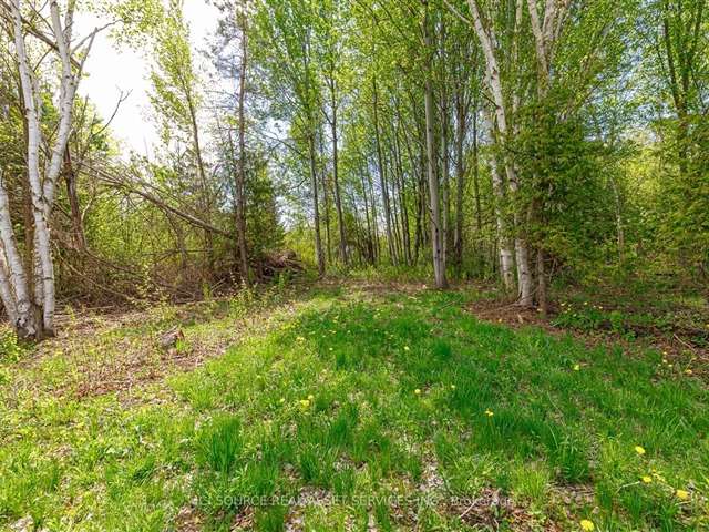 Land For Sale in Collingwood, Ontario