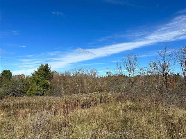 Land For Sale in Madoc, Ontario