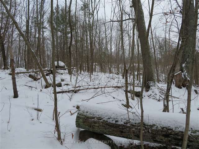 Land For Sale in Gravenhurst, Ontario