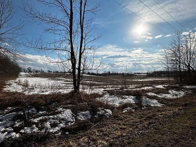 Land For Sale in Kawartha Lakes, Ontario