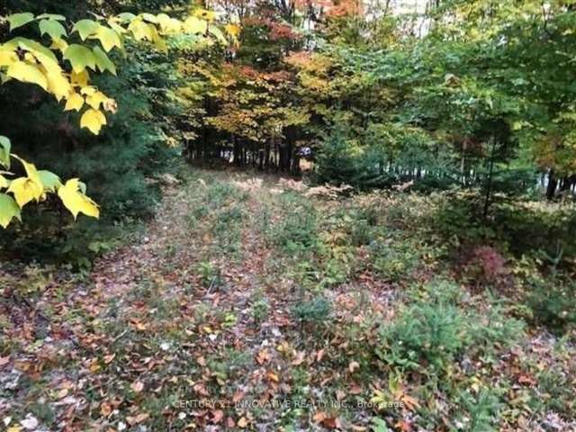 Land For Sale in Bancroft, Ontario