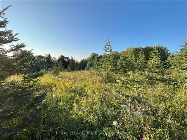 Land For Sale in Chatsworth, Ontario