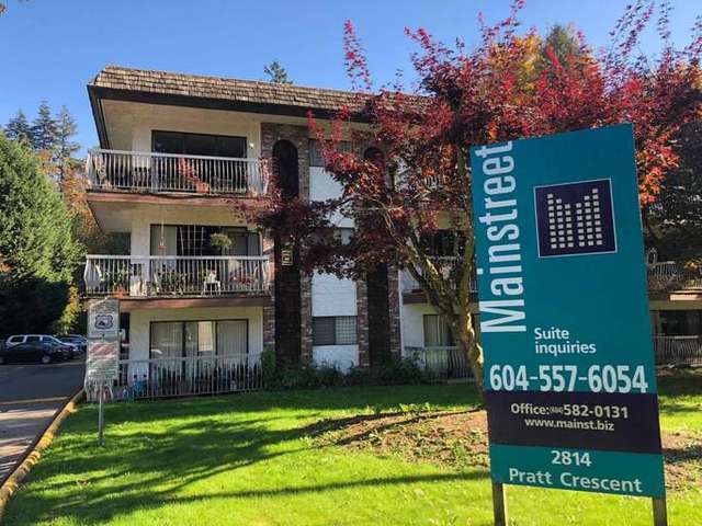 Apartment For Rent in Abbotsford, British Columbia