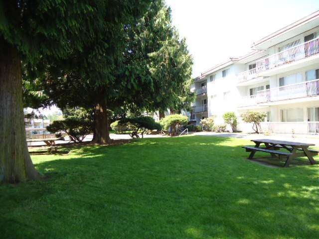 Apartment For Rent in Abbotsford, British Columbia